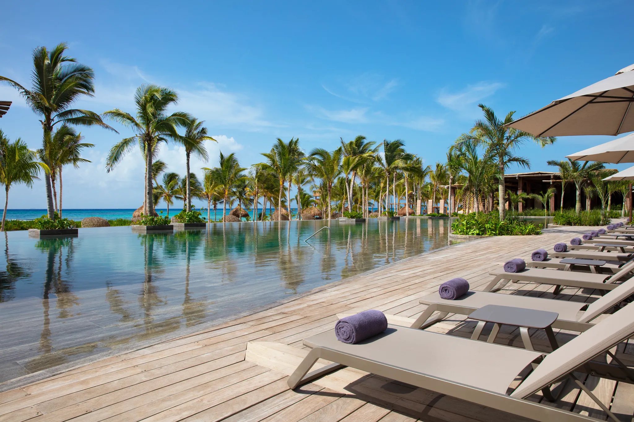 Oceanfront infinity pool with lounge chairs and palm trees at Secrets Moxché Playa Del Carmen Riviera Maya.